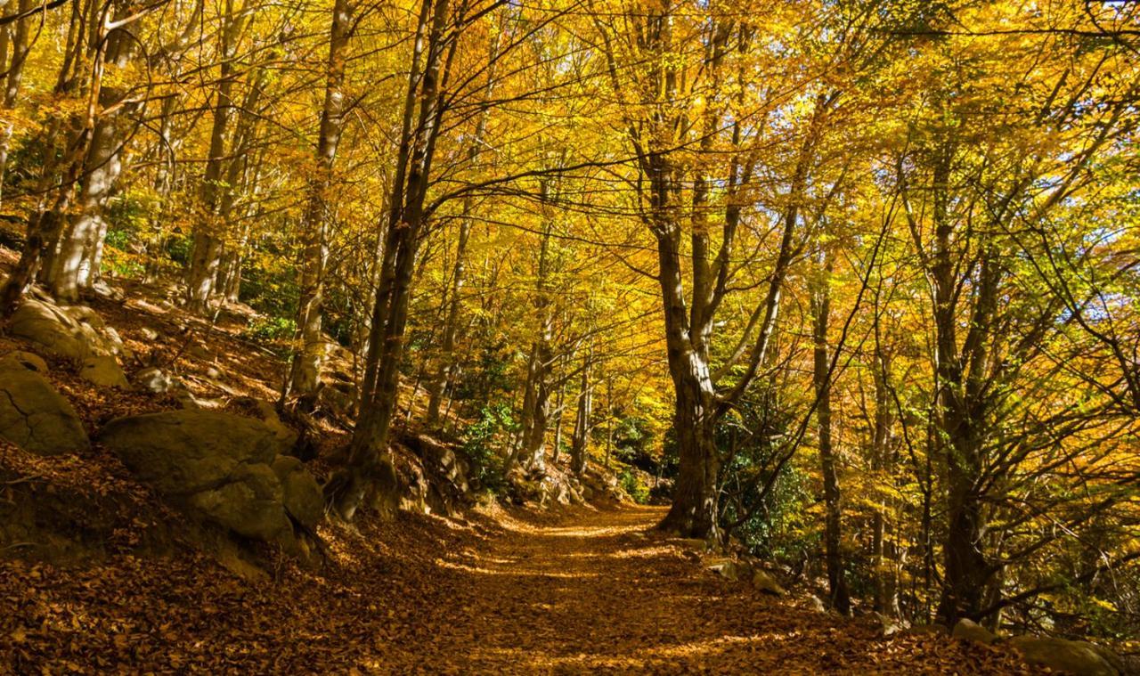 הוילה La Batlloria Casa Con Bonitas Vistas Para Disfrutar De La Tranquilidad מראה חיצוני תמונה